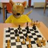 Vítáme nového člena Chess club Písek